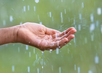 Information You Can Use: Tips for riding effectively within the rain