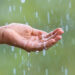 Information You Can Use: Tips for riding effectively within the rain